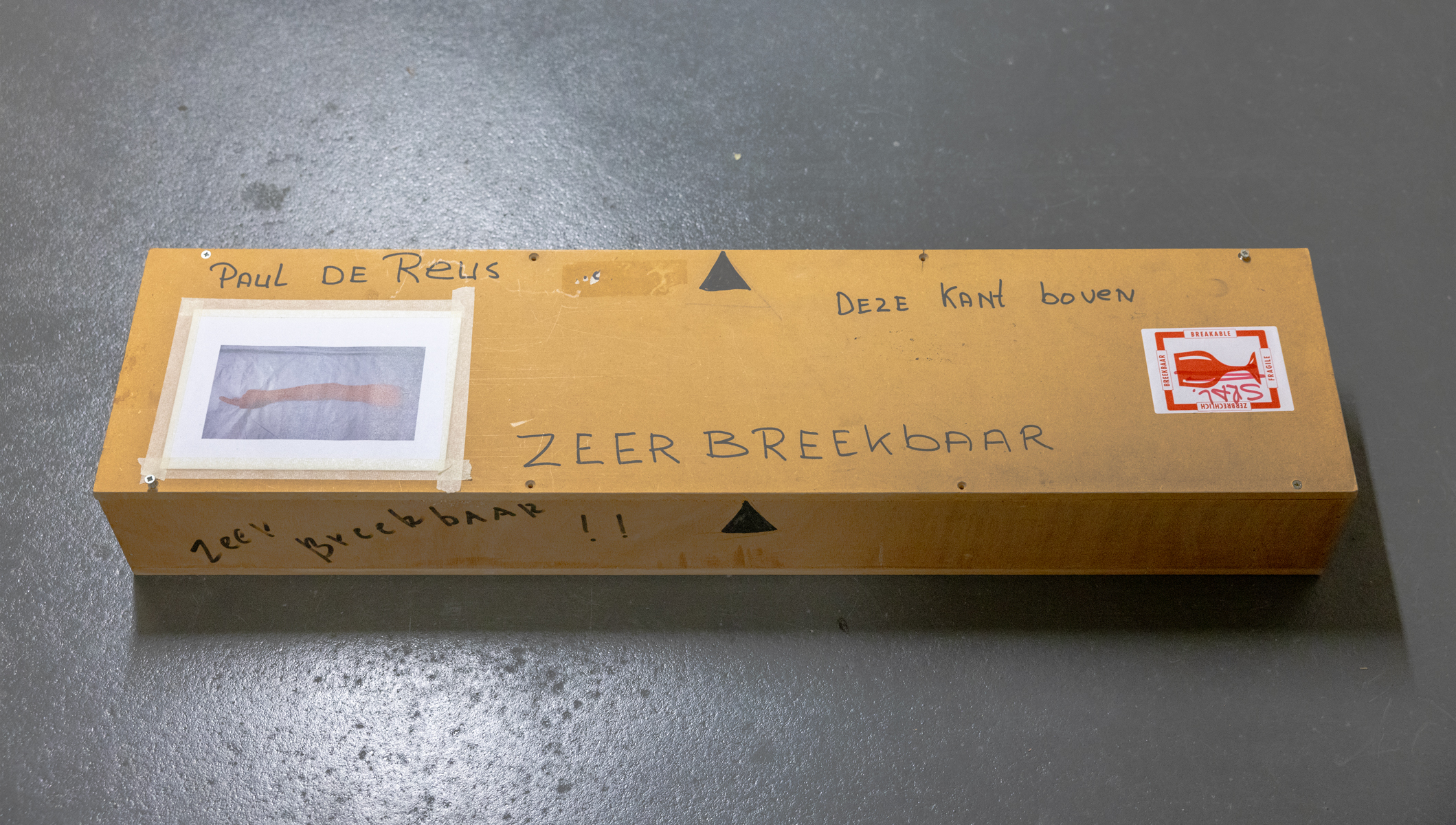 Kunstwerk Arm met wijzende vinger door Reus de, Paul