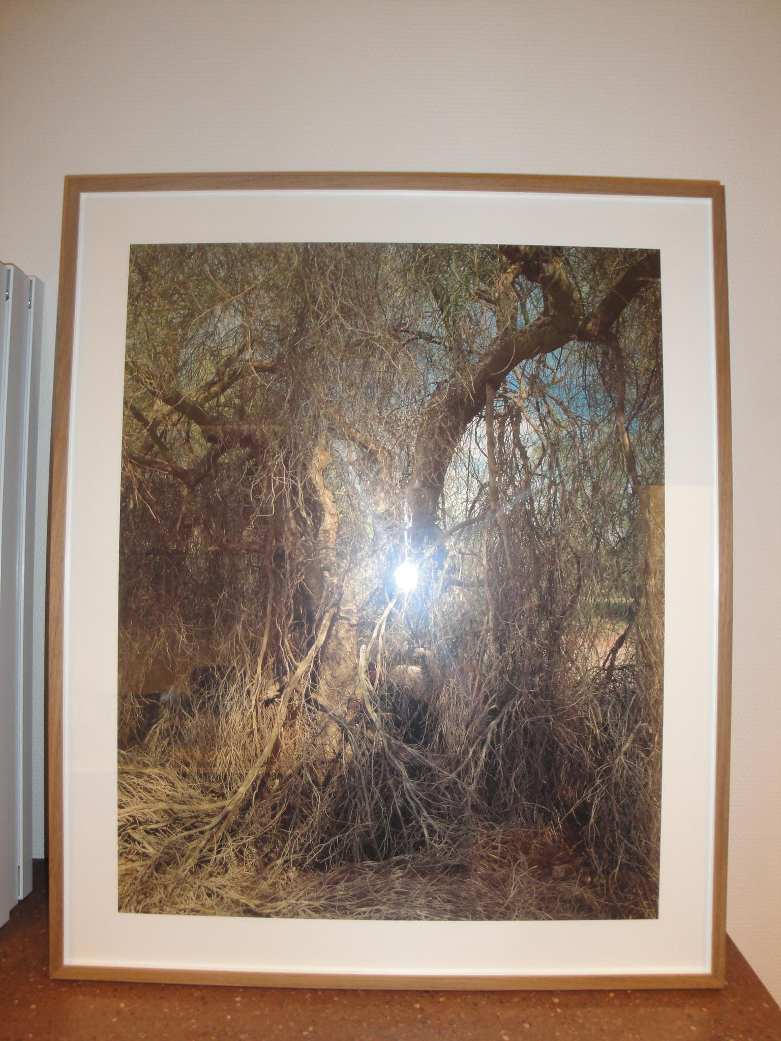 Kunstwerk Palos verdes 16-02-2005/10, printed 10-2007 door Zwarts, Kim